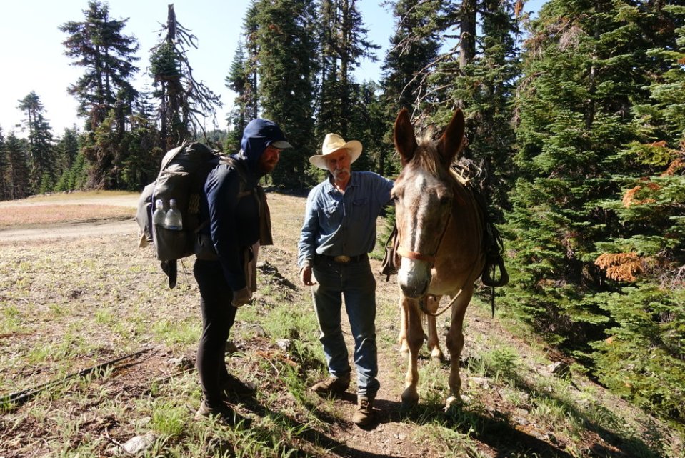  Bill, the horseback Forest Service Worker.  